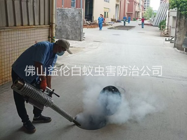 南海街道消灭蚊虫工程