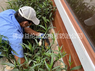 三水园林绿化灭治白蚁工程