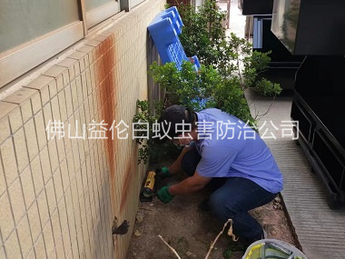佛山投放灭鼠装置工程