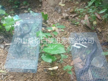 顺德驱蛇防蛇工程