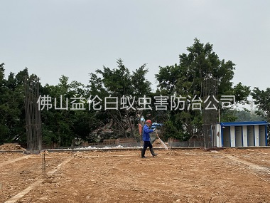 顺德地基新建预防白蚁工程