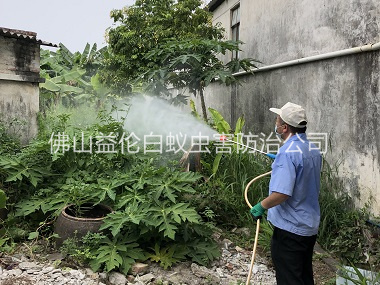 佛山社区消灭蚊子工程